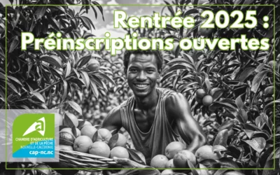 Rentrée 2025 : Préinscriptions ouvertes pour la CAP-NC