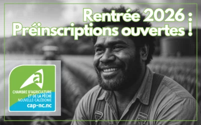 Rentrée 2026 : campagne de préinscription ouverte pour la CAP-NC