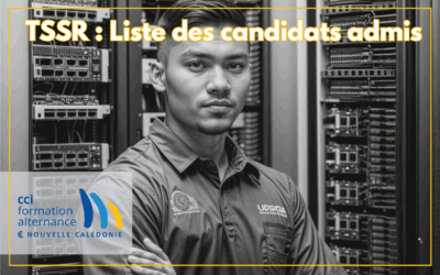 Technicien supérieur systèmes et réseaux : liste des admis