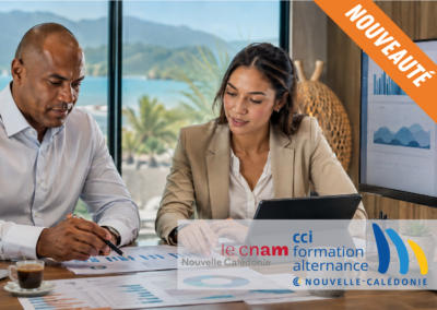 Contrôleur de gestion