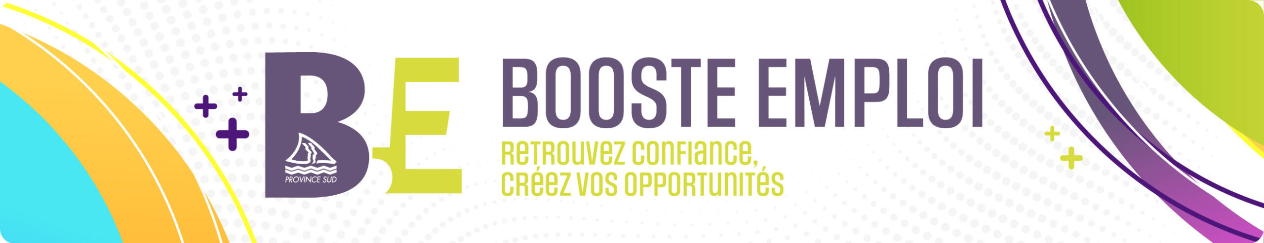 DEL Booste emploi têtière fiche cat-Plan de travail 1 (1)