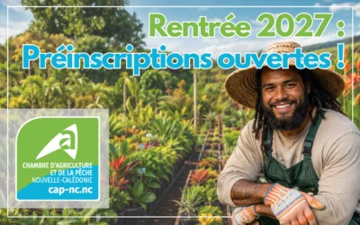 Rentrée 2027 : campagne de préinscription ouverte pour la CAP-NC