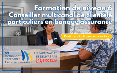 Formez-vous dans le secteur Banque-Assurance avec la CCI !